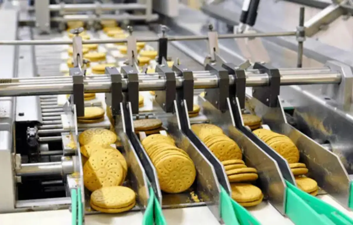 food-processing-machine
