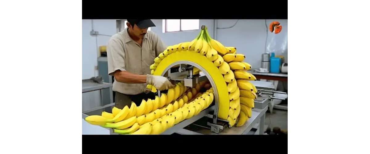 food-processing-unit